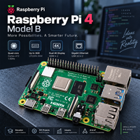 Raspberry Pi 4 Modèle B 1 Go Ordinateur monocarte Quad Core SBC pour IoT, Robotique, UAV et Développement Embarqué
