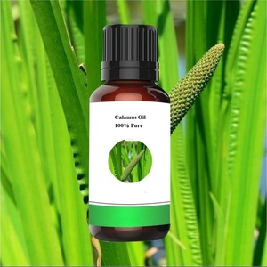 Aceite de Calamus 100% Natural de la India - Product Image 3