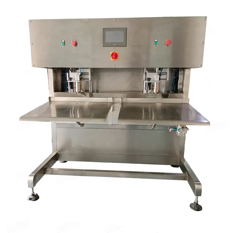 High quality 20 liters double head 2-nozzle automatic bag in box vegetable oil water filling machine filler with vacuum