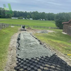 Pavimentadora de calçada de plástico para grama, estabilizador de chão com grade Geo, preço de fábrica, fonte de fábrica