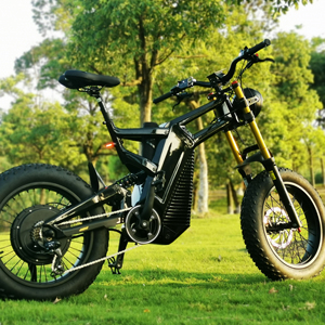 Bicicleta Eléctrica de Neumáticos Gruesos para Adultos, Versión Básica de Fibra de Carbono, 1000W, 48V 20Ah, 7 Velocidades, 70km/h - Product Image 1