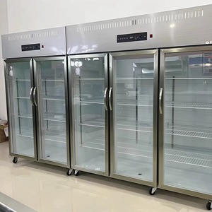 Congelador comercial con puerta de vidrio para supermercado, refrigerador comercial, puerta de vidrio, nevera, bebida fría, escaparate de alimentos frescos - Product Image 6