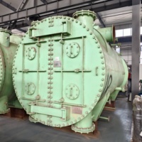 Groupe électrogène à turbine à vapeur à condensation industrielle pour systèmes d'exploitation continue des centrales électriques