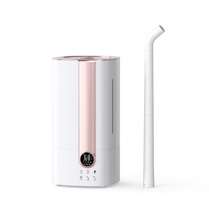 Grote capaciteit 10L BPA-vrije, veilige, stille, ultrasone EAC warme mist luchtbevochtiger met bovenvulling voor thuis - Product Image 1