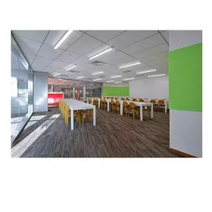 平板式星形-USG办公楼学校超市印模板600x600x16mm毫米NRC 0.6天花板瓷砖