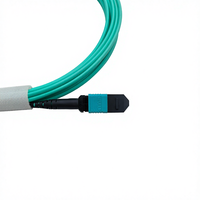 Kabel Patch FIBER MPO-F ke MPO-F 5M 12 Core LSZH OM4 50/125 - Tipe B
