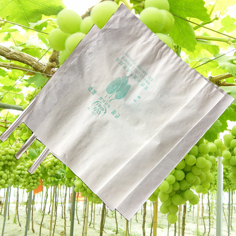 Plastic Cover Mango Protection Waterproof On Sales Banana Fruit Growing Paper Bag Plastic Cover Mango Protection Waterproof On Sales Banana Fruit Growing Paper Bag