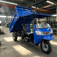 Camion cargo à trois roues diesel, capacité de charge de 3000 kg, 25 CV, démarrage électrique, benne hydraulique, tricycle diesel pour l'Afrique