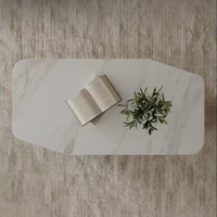 Table basse minimaliste moderne en marbre pour petits appartements de maison acrylique de forme irrégulière pour meubles de salon
