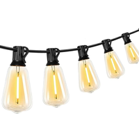 Guirlandes lumineuses LED personnalisées 24V IP44 en PVC, ampoules PET incassables longue durée, solutions d'éclairage extérieur à économie d'énergie