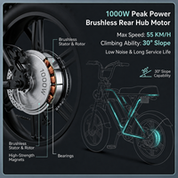 Vélo de montagne électrique 750W, moteur arrière sans balais 48V, batterie lithium 15AH, pneus larges, léger, double suspension, tout-terrain