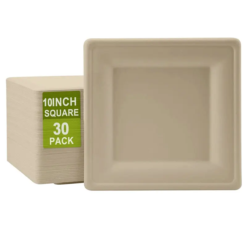 Eco friendly decorative square bagasse plate heavy duty wedding party biodegradable compostable sugarcane plate