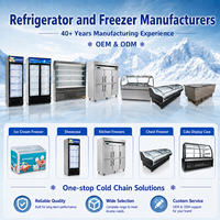Congélateur commercial de présentation en gros pour fabricants, 468L, vitrine à glace en verre incurvé
