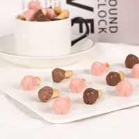 Halal groothandel cartoonvormige chocolade bedekte koekjes 48g Aziatische exotische snack bulk