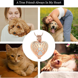 Collana Urna del 2025 con Ciondolo Commemorativo a Medaglione con Impronta di Zampa Argentata e Ali d'Angelo per Ceneri di Animali Domestici Cani - Product Image 5