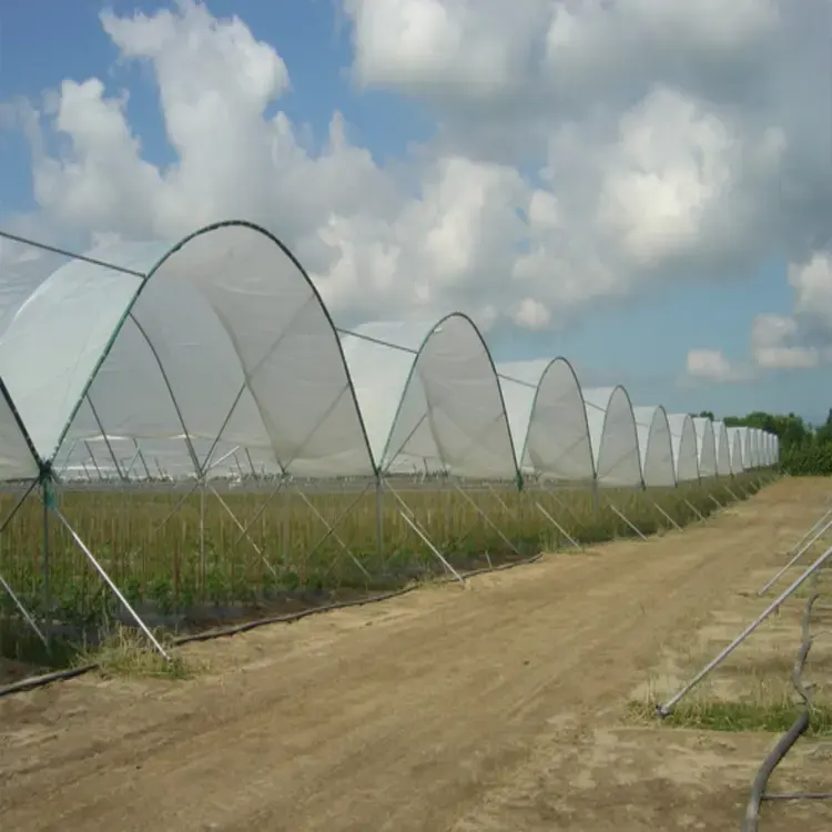 غطاء ممر مغطي بوابل مياه عالي الجودة بيت أخضر بغطاء ممر زراعي لتخزين التوت الأزرق بيت زراعي ممر زراعي في 2024