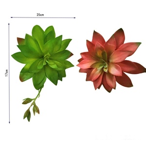 ต้นกระบองเพชรกระถางบอนไซจำลองขนาดใหญ่ปลูกพืชอวบน้ำ - Product Image 4
