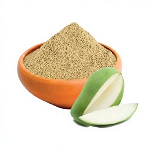Polvo de Mango Natural Seco, Ingrediente de Primera Calidad para Bebidas, Repostería, Postres y Exportación a Granel - Product Image 1
