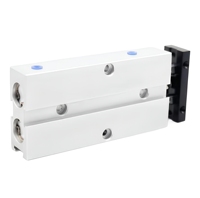 Cylindres pneumatiques à double tige en aluminium série TN - Différentes tailles