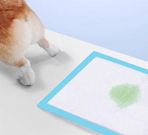 Tapis absorbants jetables en coton épais désodorisants pour l'urine des animaux domestiques (chiens et chats) - 40x60cm pour usage en toilette à point fixe - Product Image 1