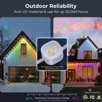 Éclairage LED Pixel RGBW intelligent IP68 pour extérieur, 30 m, pour Noël, décorations de fêtes, température de couleur 2700K-6000K, permanent