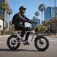 Vélo électrique d'entrée de gamme 500W 48V 15AH, pneus larges 20 pouces, idéal pour les débutants, usage quotidien, moteur sans balais pour les trajets urbains
