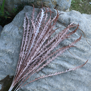 Plantes artificielles en herbe de la pampa, 1 mètre de long, décoration de mariage, fleurs séchées - Product Image 1