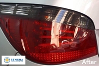 Polisseuse automobile SENSCHA 18L efficace en plastique composite avec fonction anti-taches, modèle 912B-18, fabriquée au Japon
