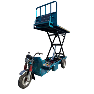 รถยกมือจับระบบไฮดรอลิก - Product Image 5