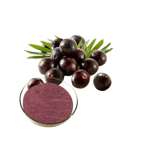 Acai Bessen Poeder 100% Acai Berry Extract Braziliaanse Acai Poeder Extractie Fruit Poeder