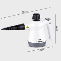 Nettoyeur vapeur haute pression RAF Factory Price R.11213, stérilisation physique, machine de nettoyage à vapeur pour la maison