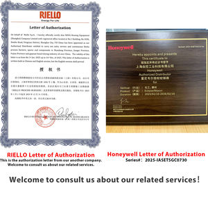 <span class=keywords><strong>RIELLO</strong></span> GULLIVER original BS3 BS4 BS3D BS4D NOx<80mg/Nm3 automatique GPL brûleur industriel pièces de chaudière à gaz pour chaudière - Product Image 4