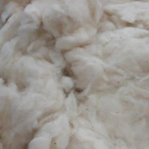 Coton de haute qualité Comber Noil prix d'usine mouche déchets textiles en provenance du Vietnam Mme Amy's Contact + 84379007507 - Product Image 3