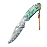Couteau de poche EDC à double lame en acier inoxydable 3Cr13 avec manche en résine, idéal pour l'extérieur – Vente chaude