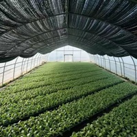 Filet d'ombrage noir tricoté pour serres agricoles et élevage