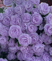 Vente directe d'usine, mini fleurs de pivoine en soie à prix avantageux pour les arrangements de mariage
