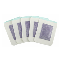 Patchs Détoxifiants pour les Pieds 2 en 1 Améliorés avec des Ingrédients Naturels Patchs pour les Pieds à Base de Plantes pour Améliorer le Sommeil et Mincir OEM
