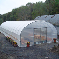 Haute Tunnel Agriculture Serre Tropicale Tomates Serre Cadre En Métal pour Légumes Structure Film Serre pour Plante