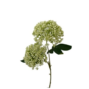 Bulbes artificiels d'amarilles, de tulipes et d'hortensias blancs, baies d'avoine, design en dentelle, décoration douce pour mariage, photographie en extérieur, décoration intérieure - Product Image 5