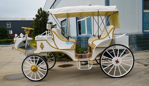 Carruaje Eléctrico Blanco para Paseos Turísticos, Carruaje de Caballos para Bodas, Carruaje de Caballos Personalizado para Paseos Turísticos, Transporte Especial - Product Image 4