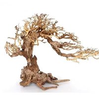 Décoration d'aquarium en bois et céramique, design moderne et écologique, squelette de racine de pin et de rhododendron, emballé en boîte