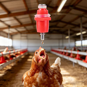 2000 Pezzi Abbeveratoio a Nipple <span class=keywords><strong>per</strong></span> Polli, Quaglie, Pulcini, Broiler, <span class=keywords><strong>Tacchini</strong></span> - Fontana Automatica <span class=keywords><strong>per</strong></span> l'Alimentazione ad Acqua del Pollame da Fattoria - Product Image 5