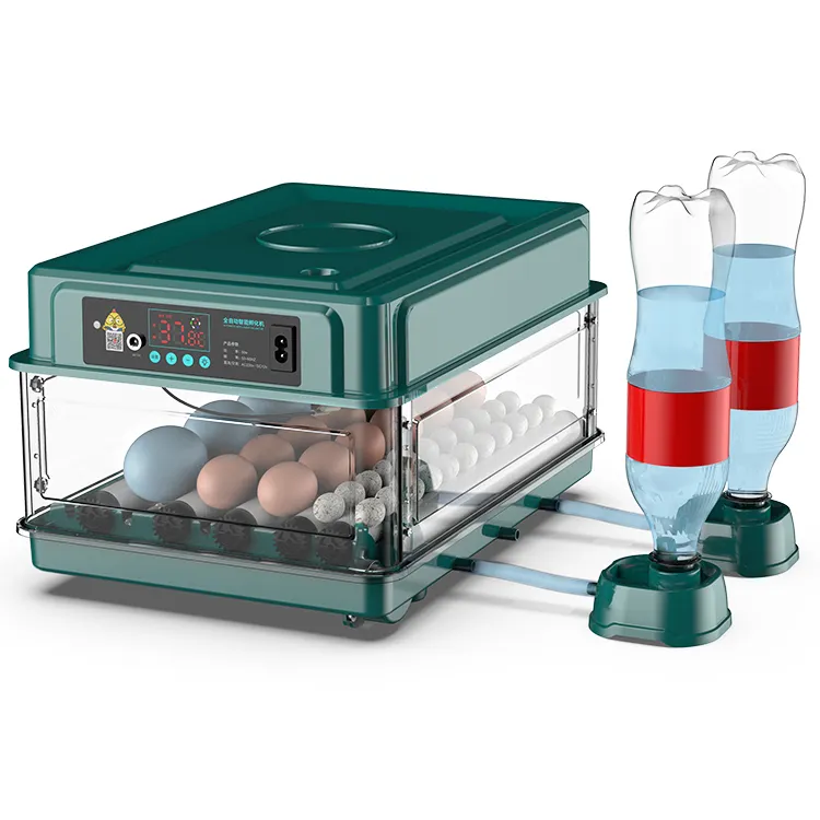 30 Eier kapazität Temperatur regelung Automatische Wasser versorgung Hühnerei-Inkubator schlüpfen