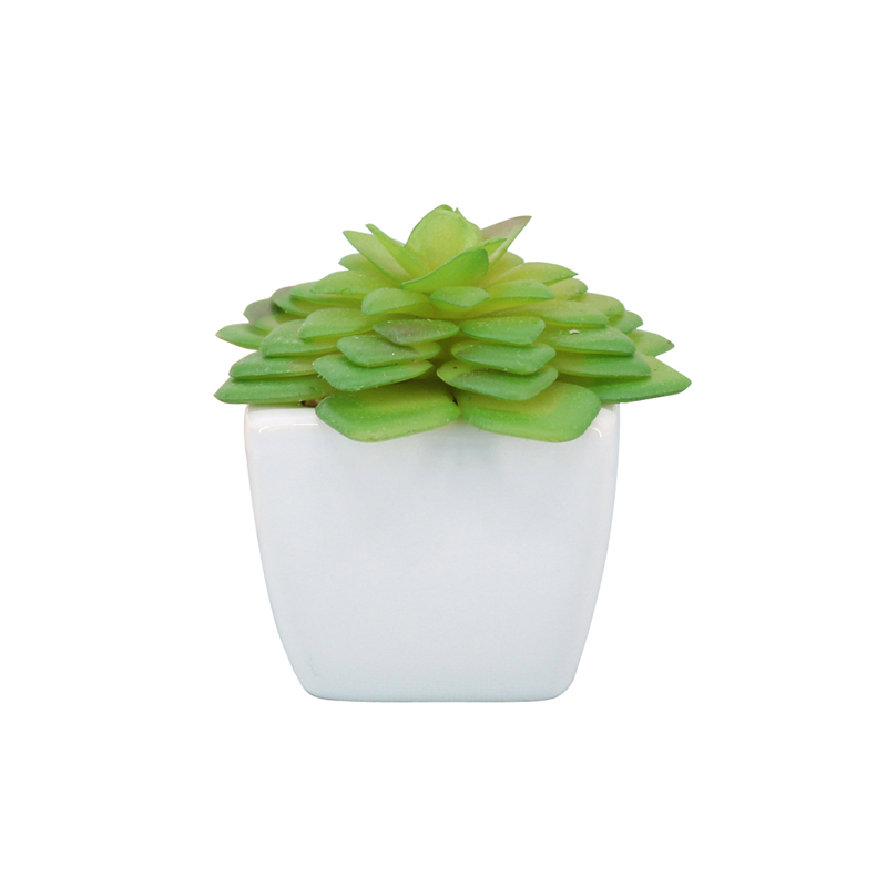 PA01-20   พีเอ01-20