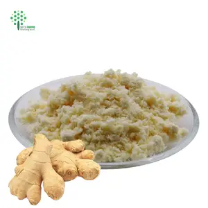 Extracto de raíz de jengibre Soluble en agua, polvo de Gingerol 1%