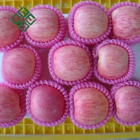 Rode Fuji Apple Verse Apple Met China Leverancier