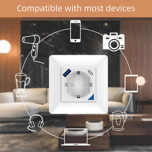 TY-EU86-type-C Zigbee Tuya ซ็อกเก็ตอัจฉริยะ EU ปลั๊กไฟฟ้าชาร์จเร็ว USB Type-C APP รีโมทคอนโทรล การควบคุมด้วยเสียง - Product Image 4