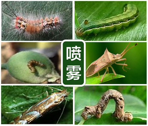 Beta-<span class=keywords><strong>cipermetrina</strong></span> 4.5% EW, <span class=keywords><strong>Insecticida</strong></span> Agrícola Económico y Altamente Efectivo Contra Orugas de Repollo, Pulgones e Insectos del Suelo - Product Image 3