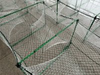 Piège à poissons de haute qualité en Chine, 22 cm * 35 cm * 31 sections, cage à poissons, piège d'aquaculture Dragon Bubu pour les poissons