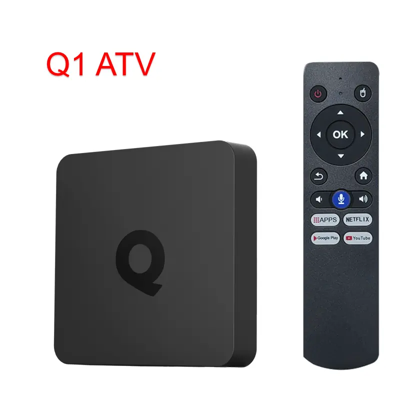 Q1 ATV H313 Android 10 Smart TV Box Allwinner H313 2GB 16GB 2G 8G Dual Wifi AndroidTV BT5.0 4K HD Set Top Box lettore multimediale